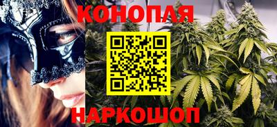 спиды Моздок