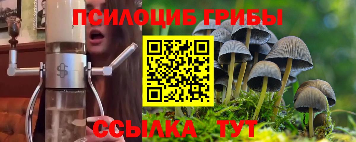 Псилоцибиновые грибы Magic Shrooms  Вход с VPN  Шадринск 